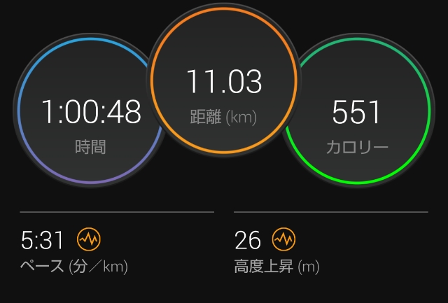 痛む左膝をかばっているから 左右対称性 のスコアが低い 11km芝生ラン サブ3 5ランナー駿介の駿足ラン日記